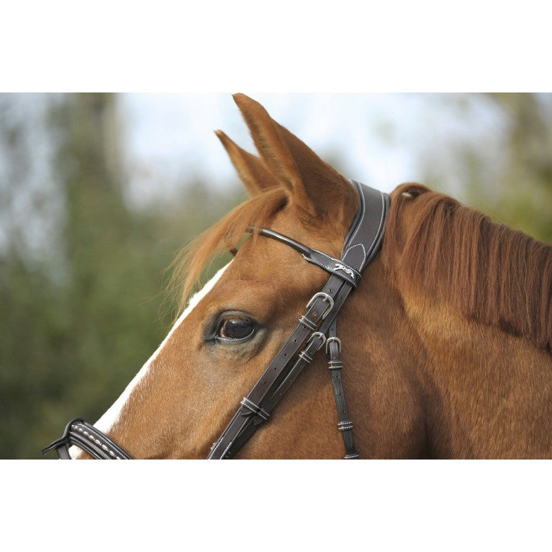 Anatomic bridle with removable flash