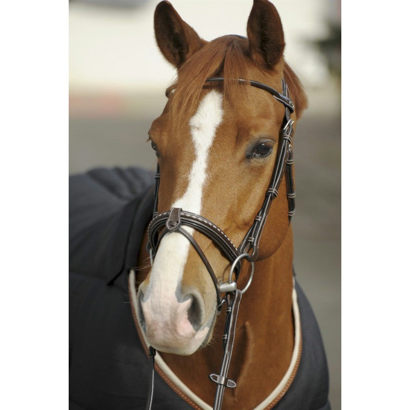 Removable Flash noseband bridle with anatomic headpiece