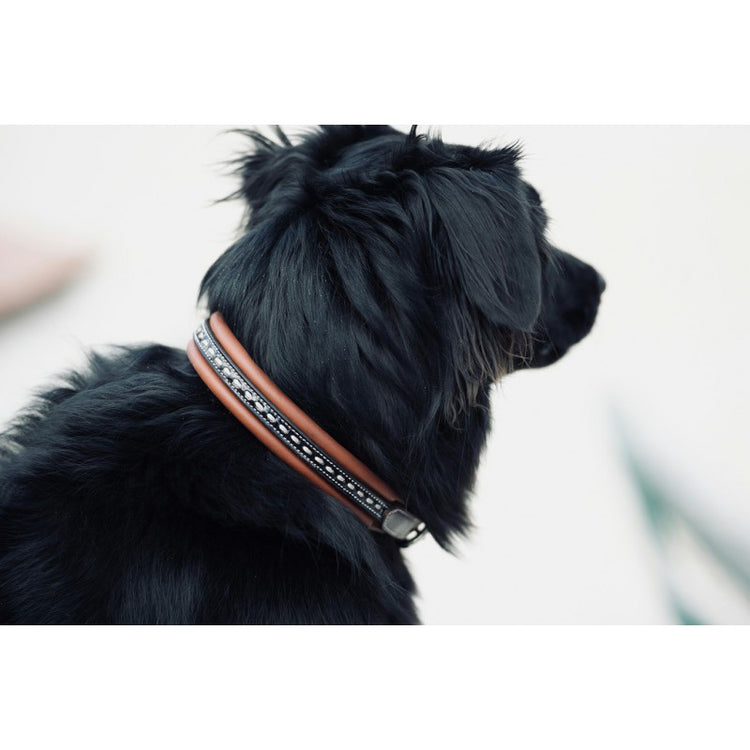Light brown leather dog collar