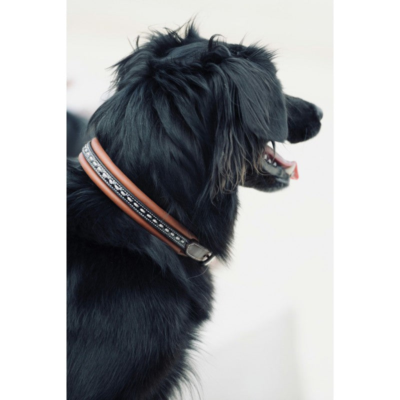 Penelope Dog collar in brown