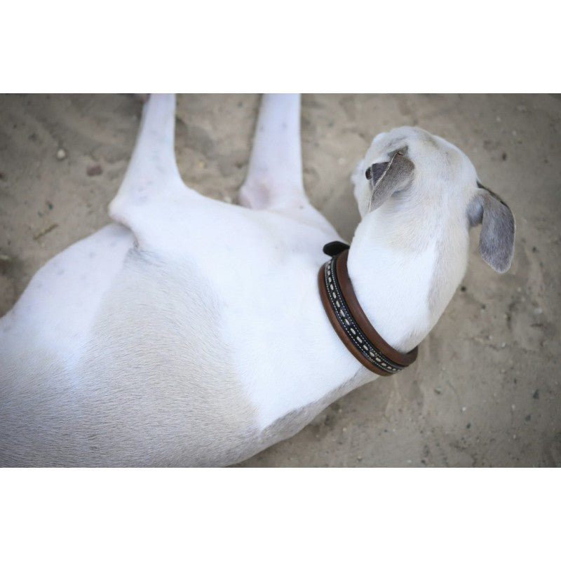 Large leather dog collar with fancy stitching