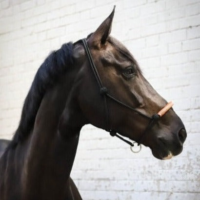 Penelope black rope halter for horses with elegant leather detailing.