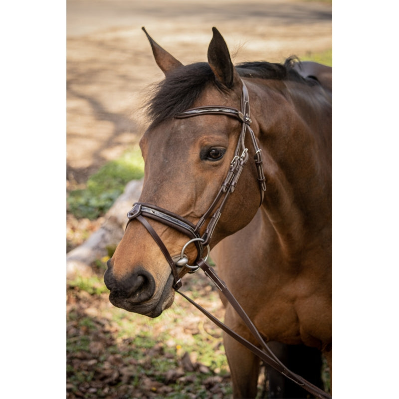 Penelope Smoothie padded bridle with patent leather trim and white stitching.