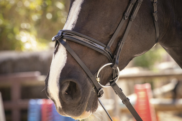 Penelope Smoothie bridle with elegant V-shaped padded browband.