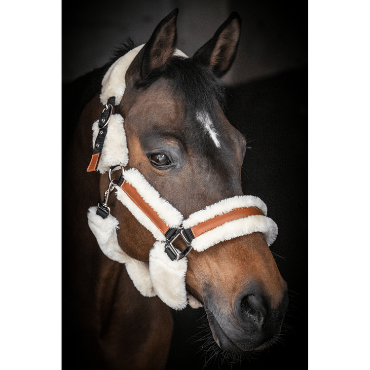 Penelope Soft Halter with faux sheepskin padding and leather details.