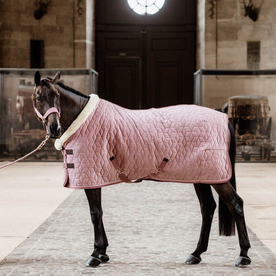 Kentucky pink show rug