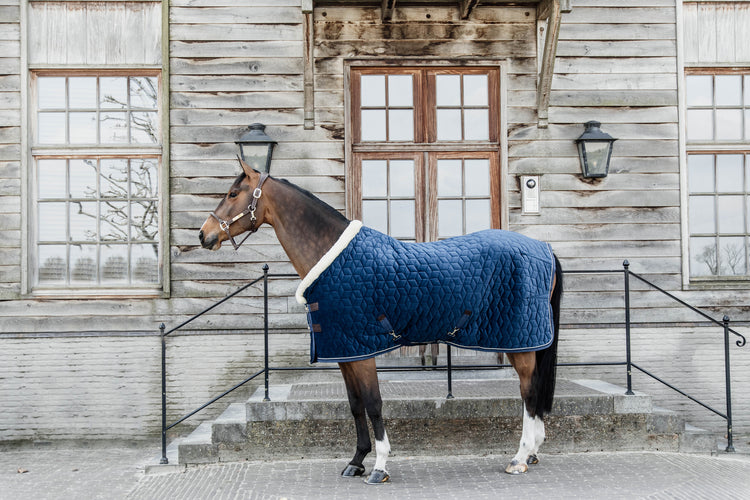 Horse rug equestrian equipment+