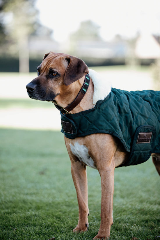 Kentucky Hundemantel Dunkel Grün