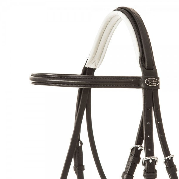Bridle with white padding