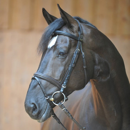 Cheap leather bridle