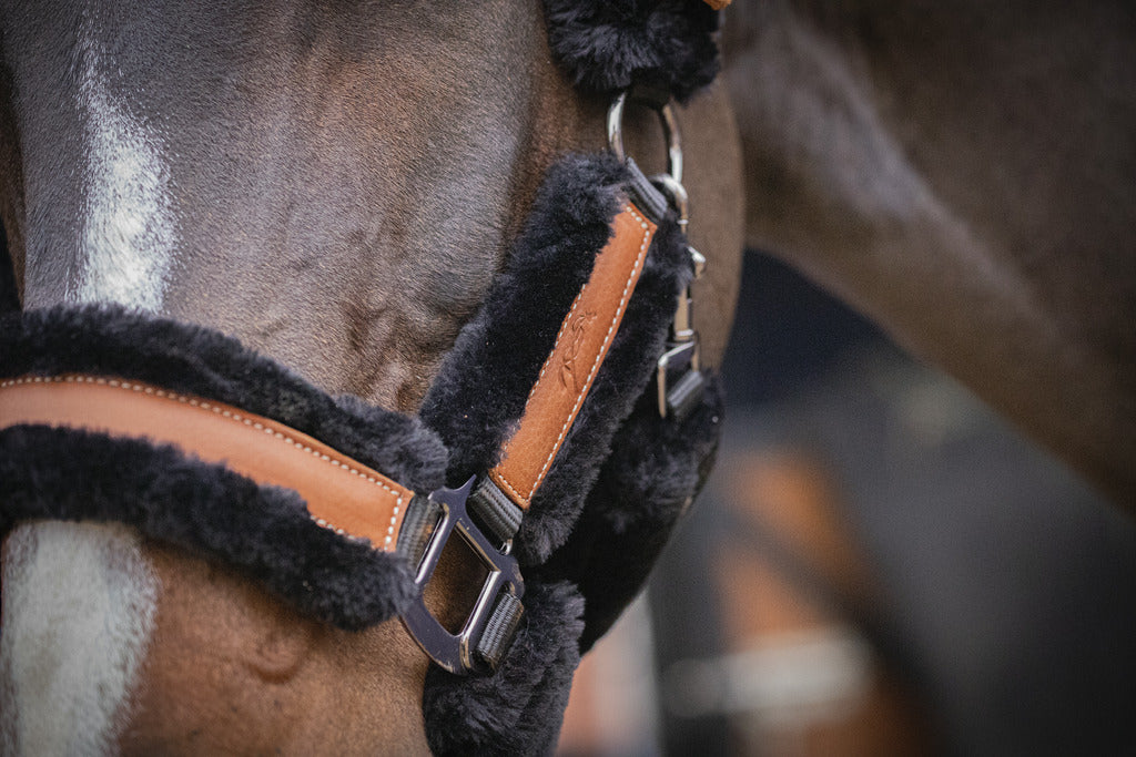 Soft halter for horses with comfortable padding around the head.