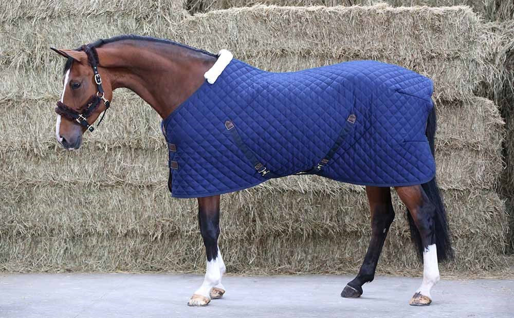 Stable Rug for horses 400g