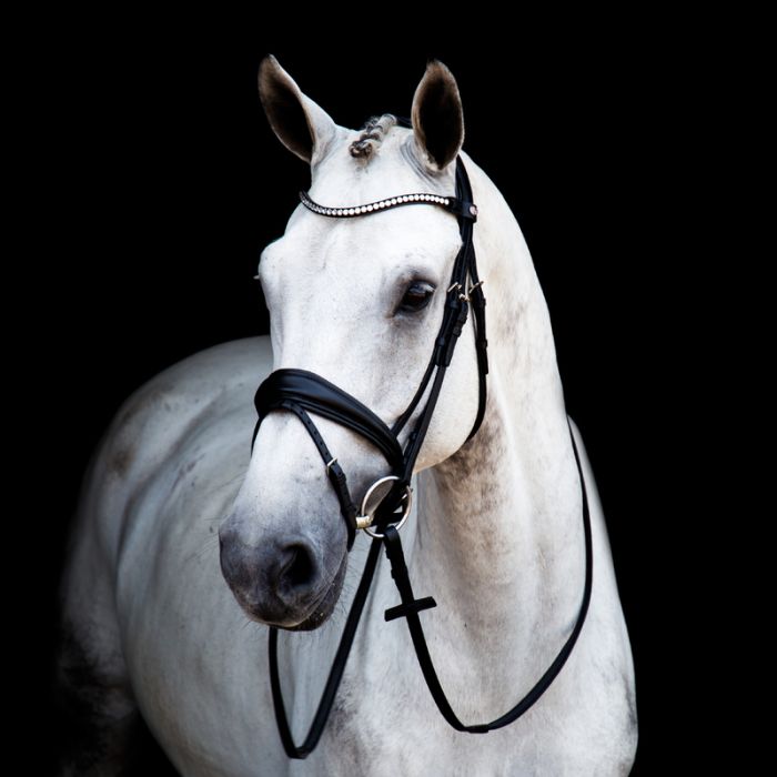 Stübben 2815 Switch dressage bridle with Magic Tack browband system and Slide&Lock buckles.
