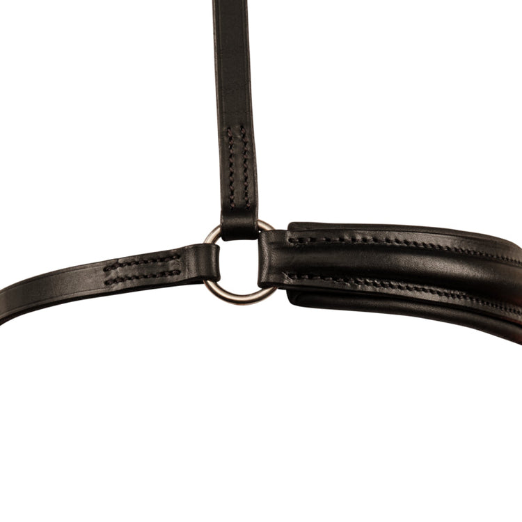 Horse wearing the Stübben 2305 Leitrim Bridle with a Hanoverian noseband.