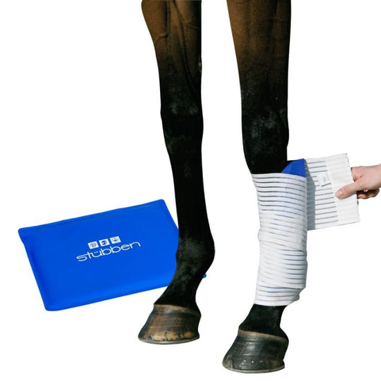 Stübben horse leg cooling set designed for equine cold therapy and post-exercise care.