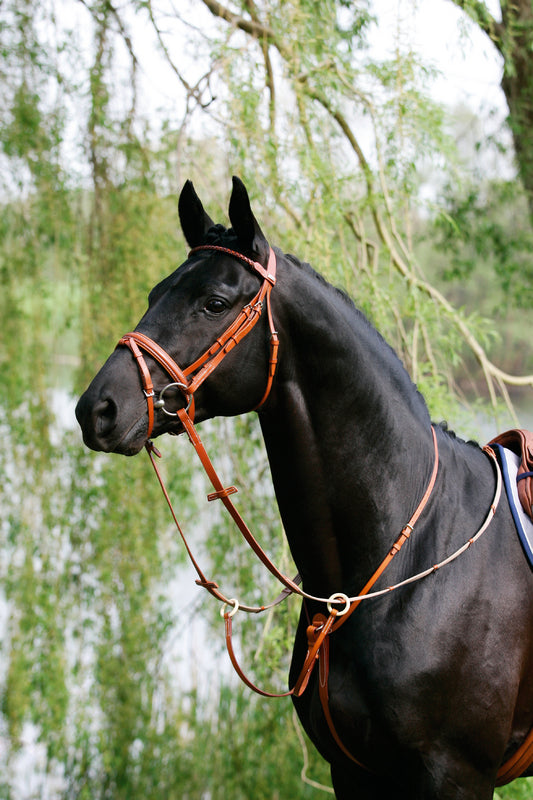 Stübben leather running martingale fitted to a horse with an English bridle.