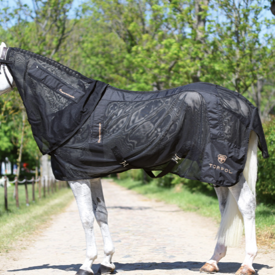 Magnetic Therapy Rug for horses
