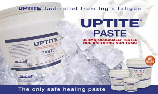 uptite cooling poultice for horses